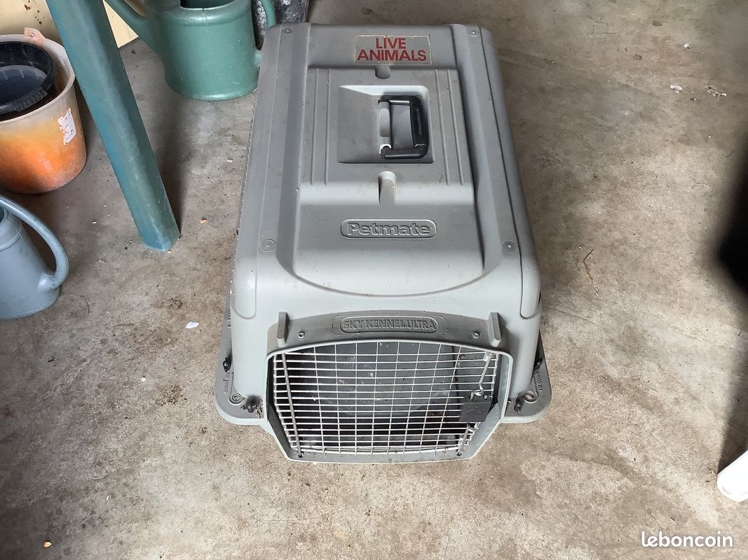 Accessoires pour chien (image 1)
