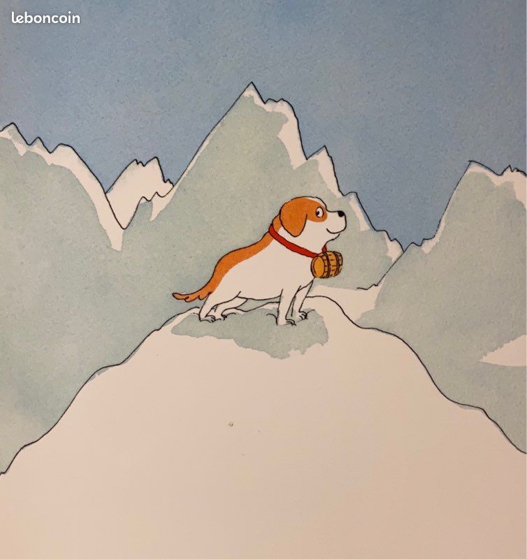 Joli Album « chien Bernard « Comme neuf (image 4)