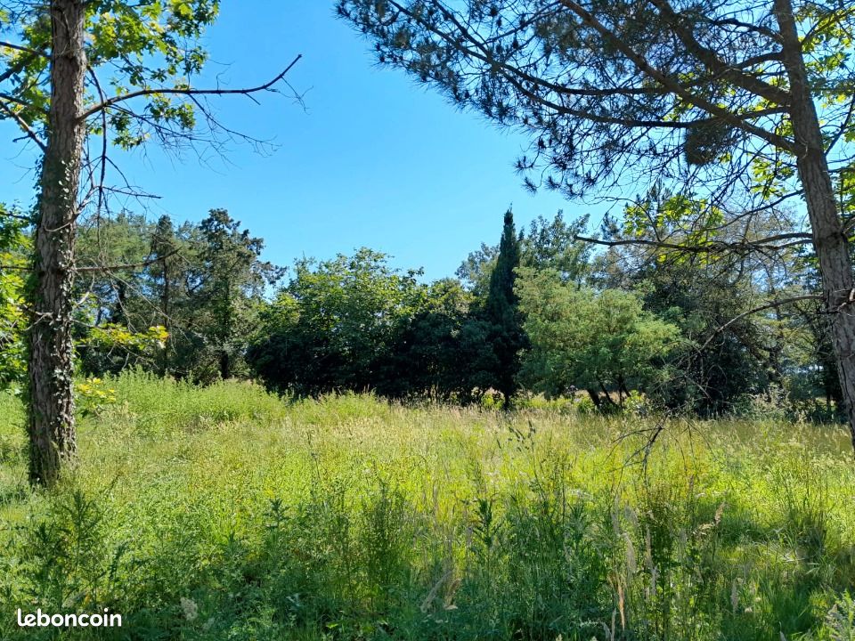 Terrain 463 m² Rouans · 84 000 €