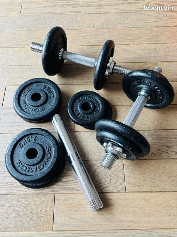 SONGMICS Kit Haltères Musculation 2-en-1, Lot de 2, 2 x 10 kg, Poids Réglable, avec Barre d SONGMICS Kit Haltères Musculation 2-en-1, Lot de 2, 2 x 10 kg, Poids Réglable, avec Barre d
