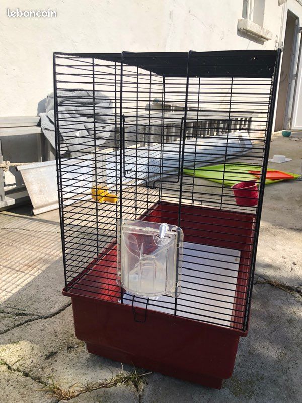 Cage à oiseaux (image 1)