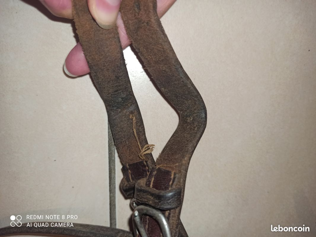 Filet en cuir véritable pour cheval (image 3)