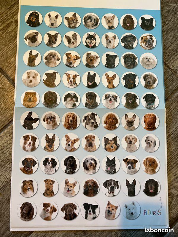 La grande imagerie - Les chiens (image 2)