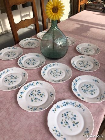 Lot De 12 Assiettes à Dessert Vintage Arcopal – Motif Myosotis Veronica – Fabriquées En France