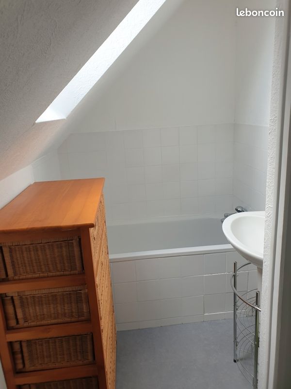 Studio meublé hyper-centre 25m2 (image 9)