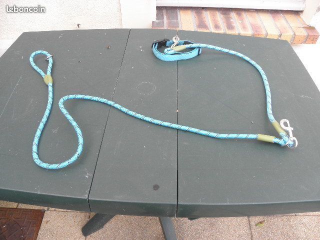 Laisse pour chien Double (image 2)