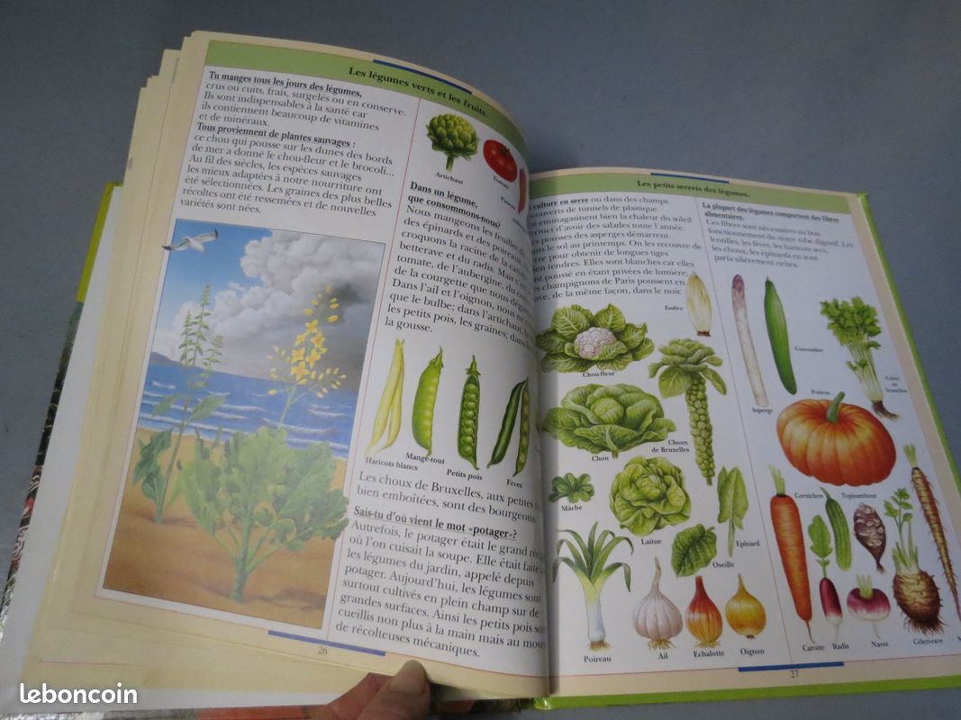 Petite encyclopédie (image 5)