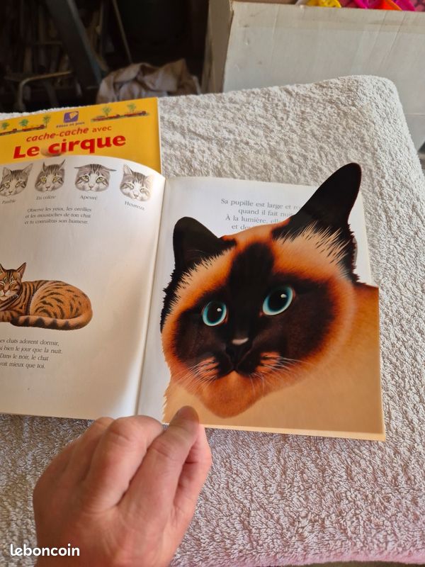 Livre enfant (image 5)