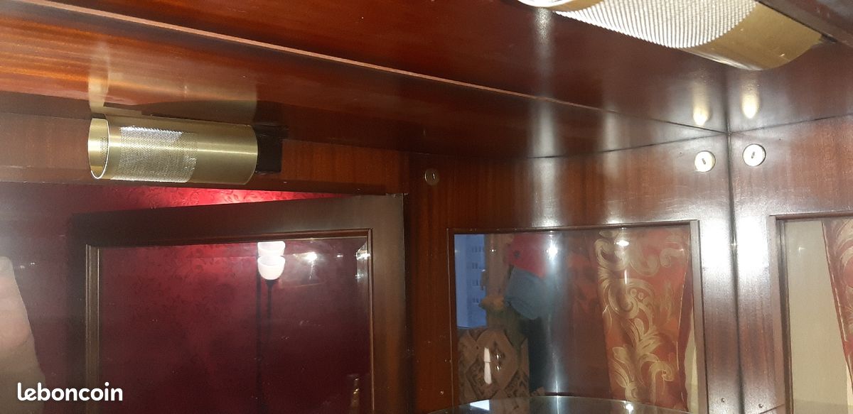 Extraordinaire vitrine en verre bombé à décors de bronze et de marqueterie de style Napoléon (image 4)