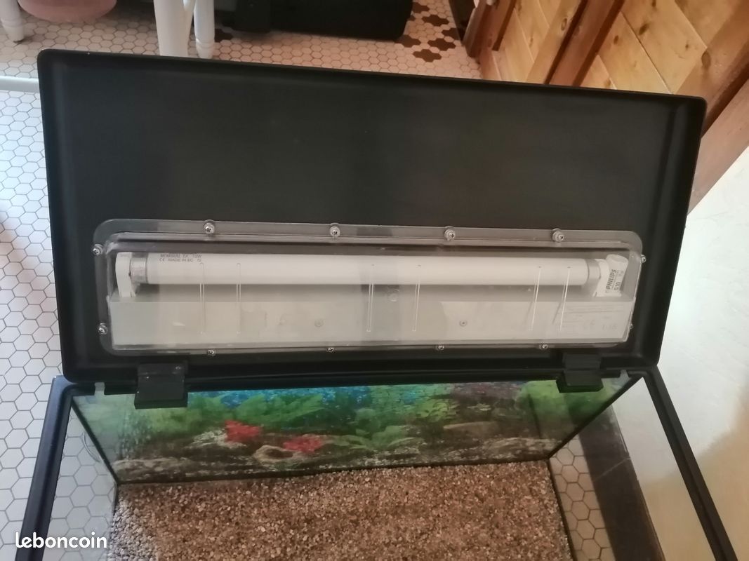 Aquarium (image 6)