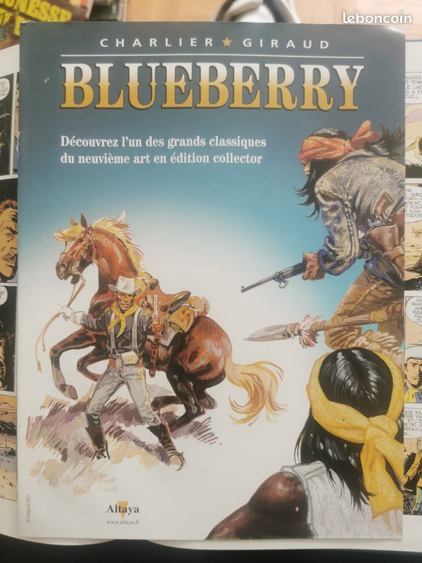 Blueberry 2021 fort navajo (image 5)