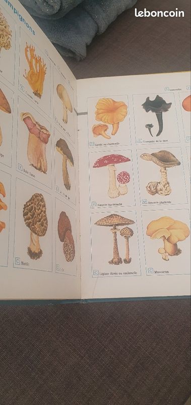 Le livre compagnon vintage (image 4)