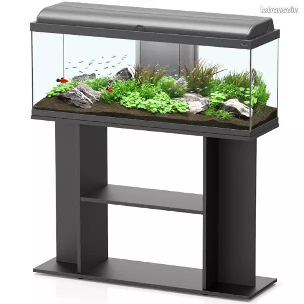 Aquarium 120l avec accessoires (image 1)