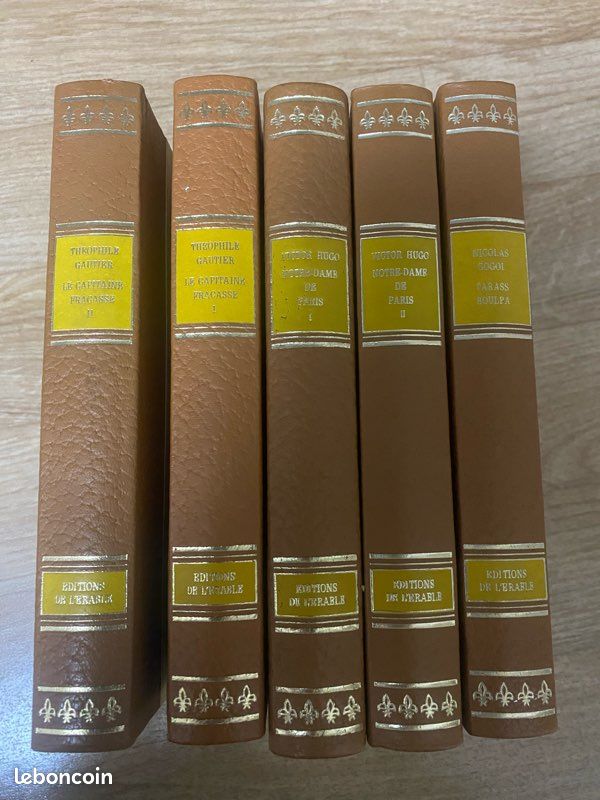 Livre rare lot de 32 livre éditions de l’érable (image 6)