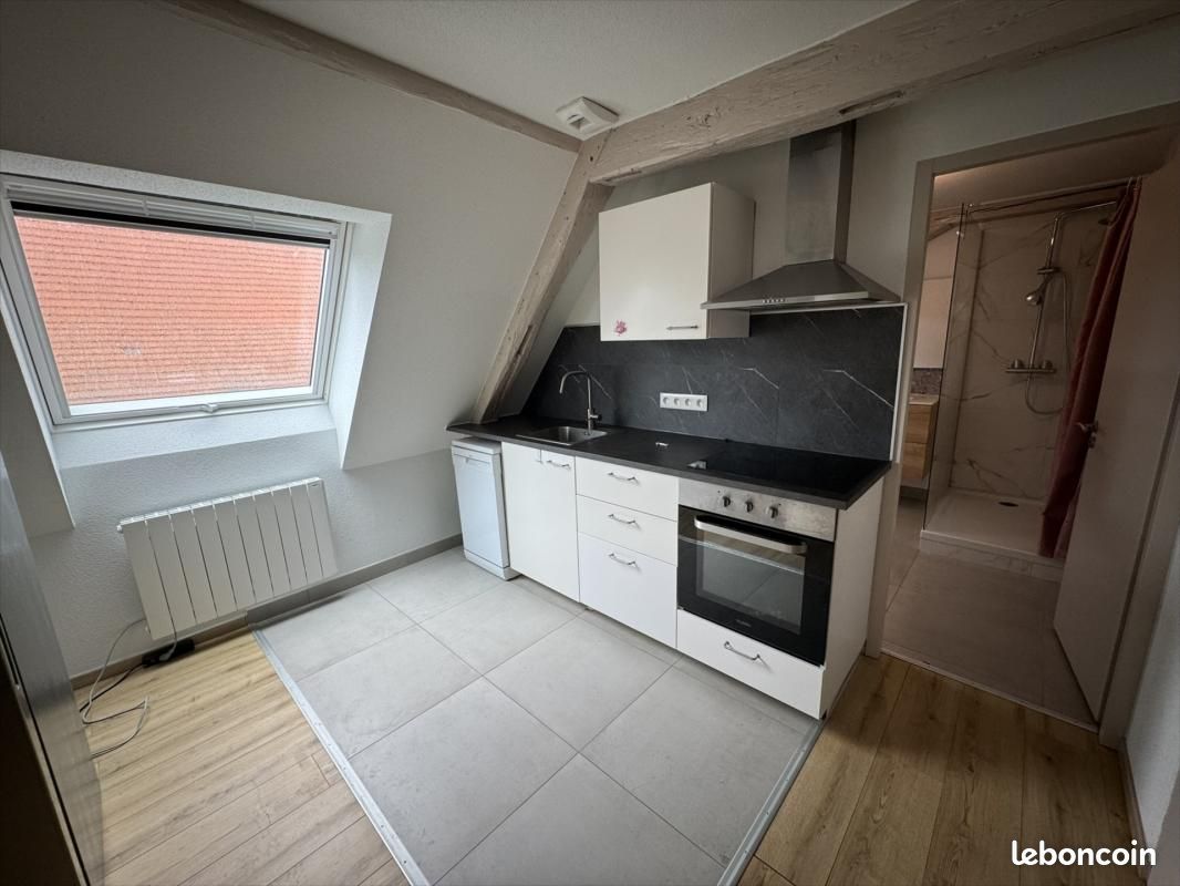 Appartement a louer colmar - 3 pièce(s) - 100 m2 - Surfyn