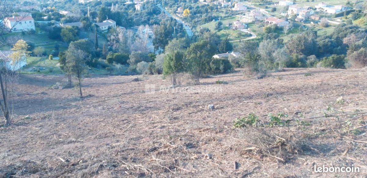 Terrain 4625 m² · à Cuttoli-Corticchiato · 253 750 €