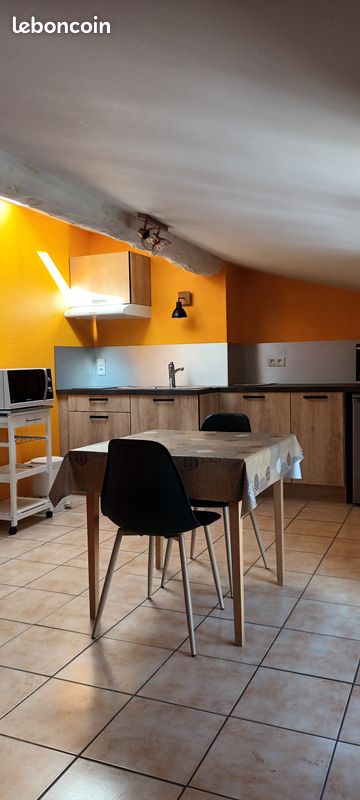 Appartement 1 pièce 20 m² · à Brives-Charensac · 20 m² · 300 €