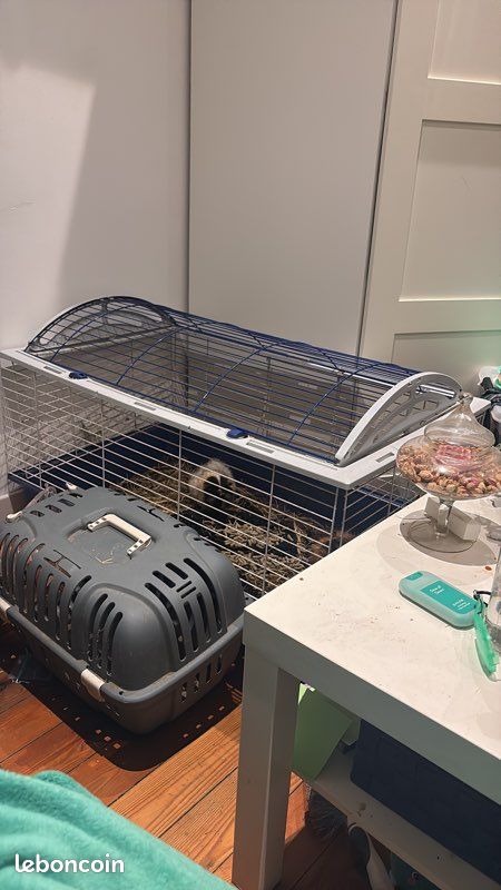Cage cochon d’Inde ou lapin (image 1)
