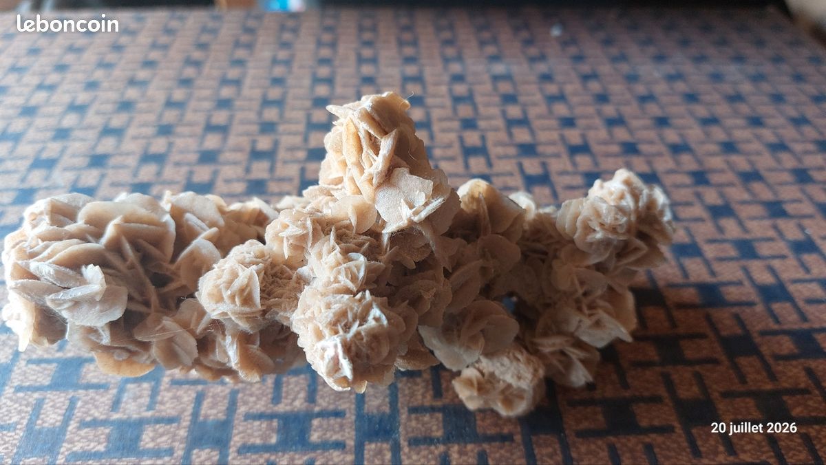 Rose des sables (image 2)