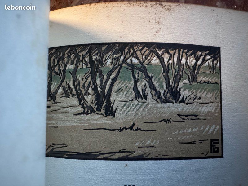 Livre Les Hommes nouveaux Claude Farrère, bois de Géo Fourrier (image 10)
