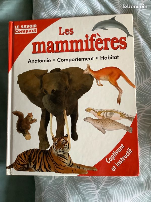 Livres sur les animaux, les dinosaures et le corps humain (image 2)