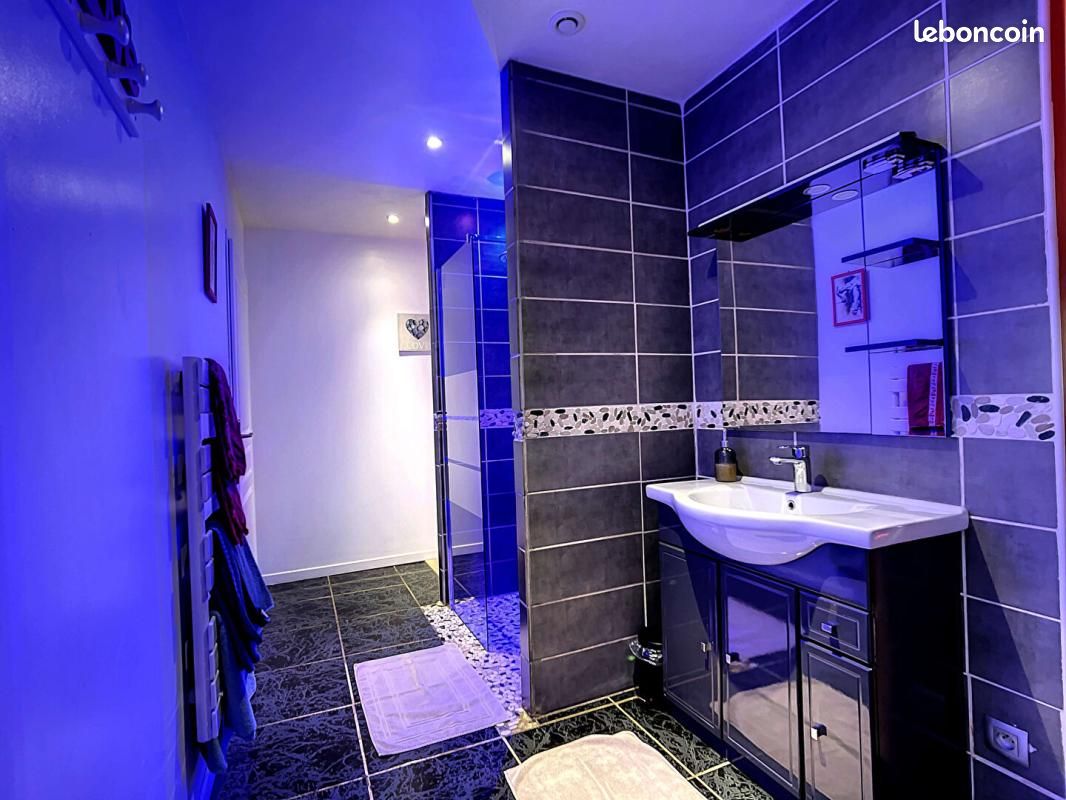 Maison 9 pièces 250 m² (image 7)