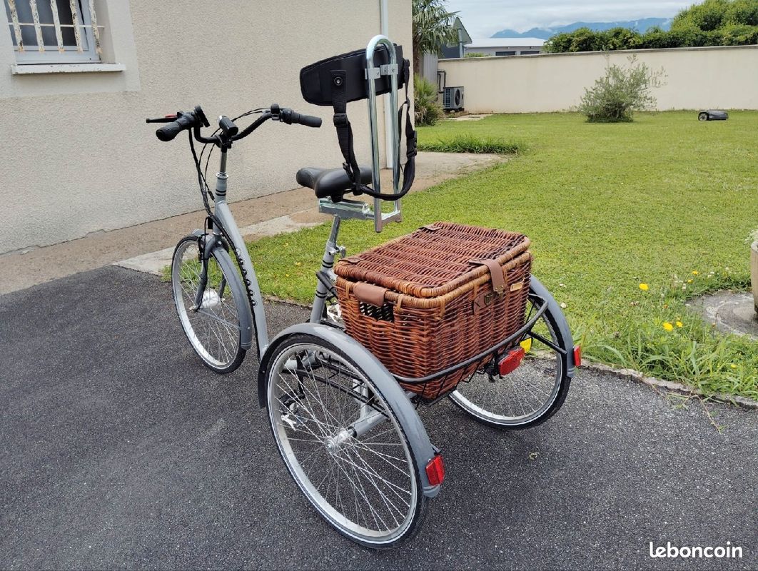 Tricycle avec assistance électrique (image 7)