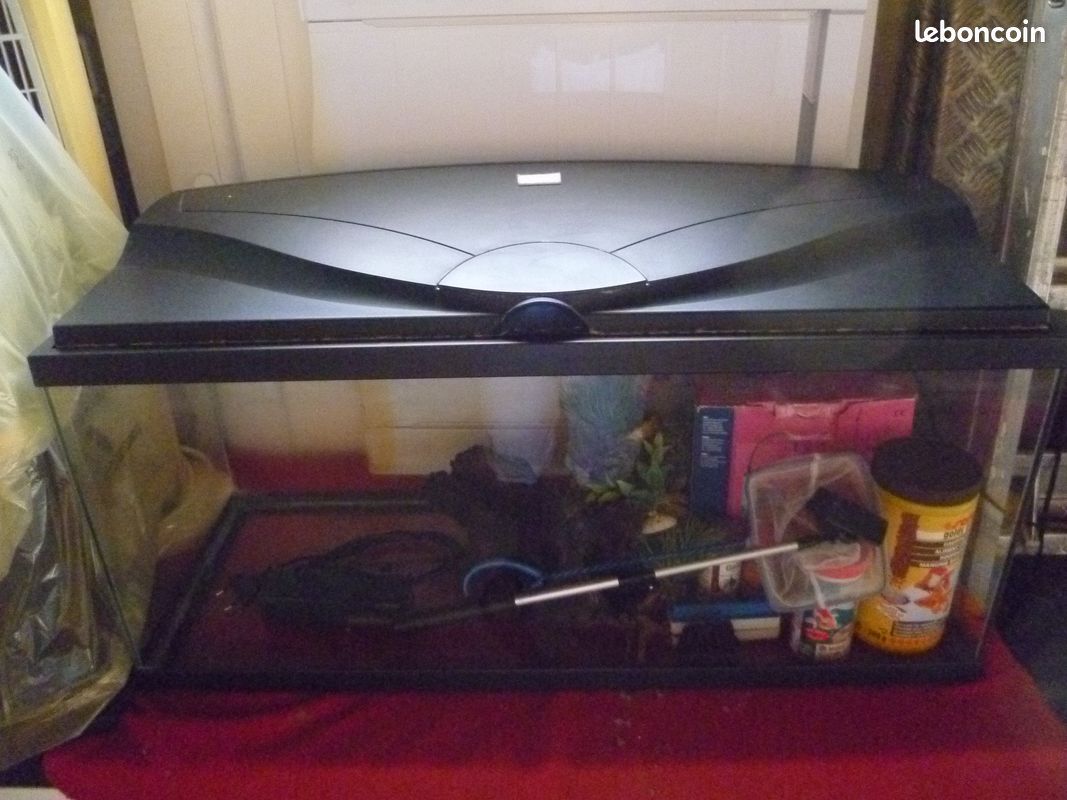 Aquarium (image 1)