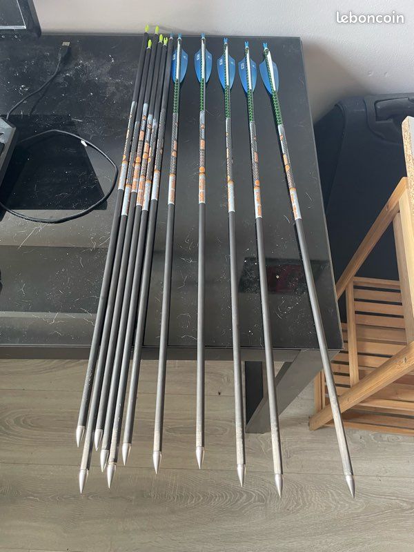 Flèches Carbone Skylon Paragon Arrows 650 - Lot D'occasion