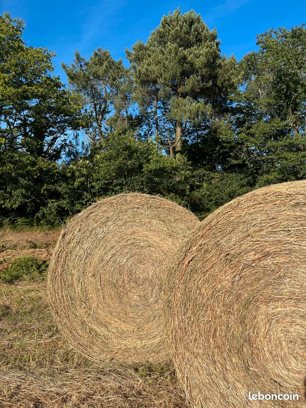 Vente foin 2026 (image 2)