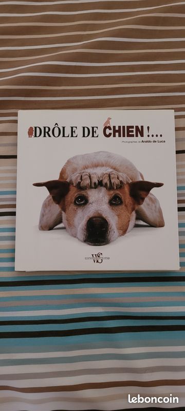 Livre photographies Drôle de chien par Araldo De Luca NEUF (image 1)