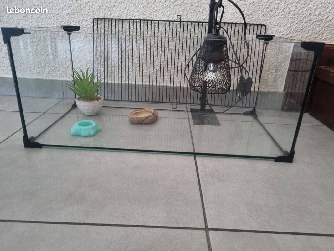 Terrarium avec lampe uv neuve (image 2)