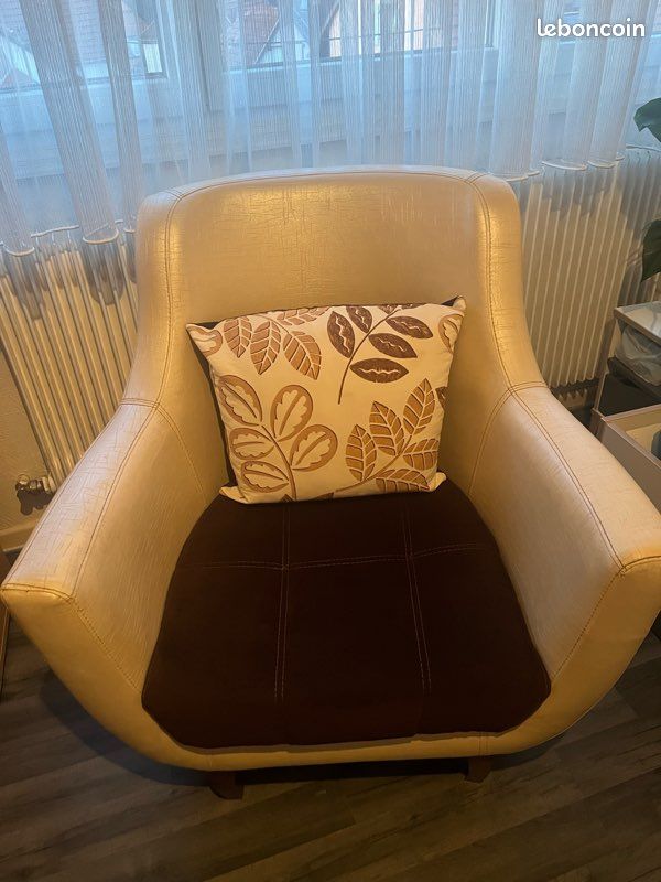 Fauteuil avec coussin (image 1)