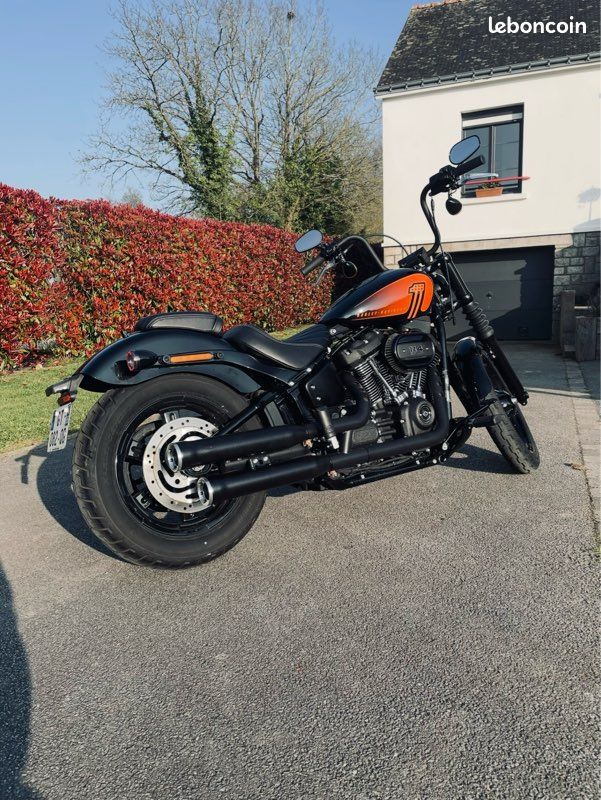 Harley Davidson Street bob 114 / 2024 (image 2)