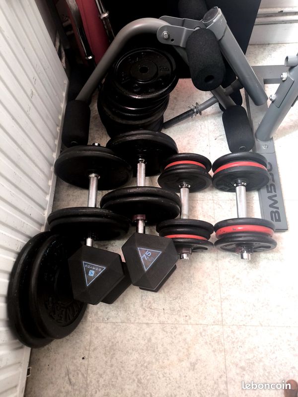 Disques fonte 1 /kg, lot musculation 249 kg + banc + poulie (image 3)