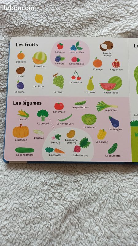 Livre Mes 500 premiers mots (image 6)