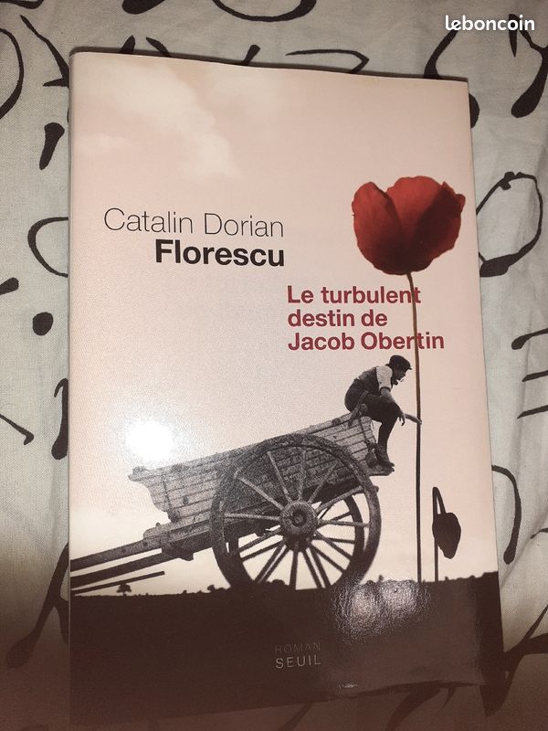 Le turbulent destin de Jacob Obertin (image 1)