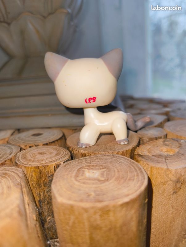 Pourquoi préférer la race de chat siamois