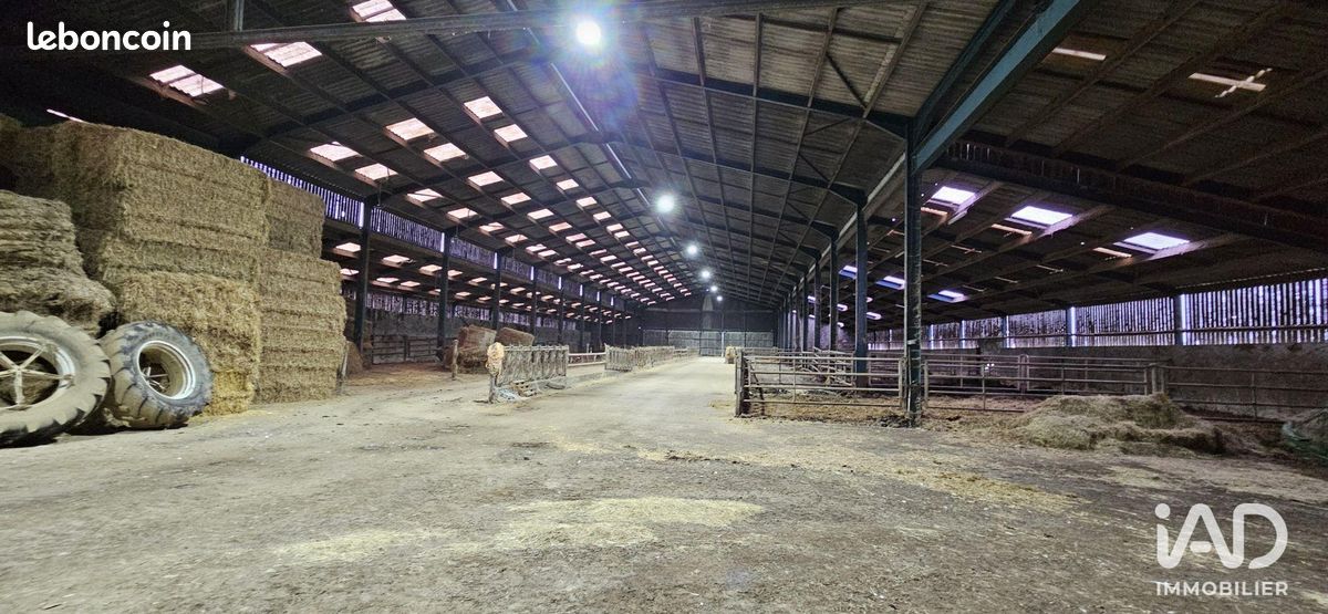 Local 4500 m² BEAUFOU (image 3)