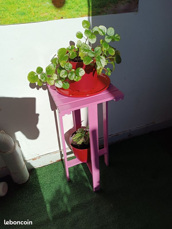 Porte plante rose (image 1)