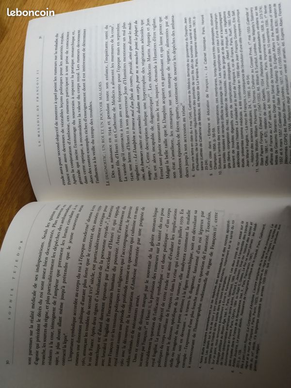 Maladies diplomatiques , Xavier Le Person et Stanis Perez (image 3)