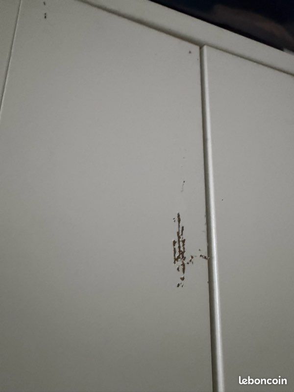 Armoire IKEA Brimnes 3 portes (image 4)