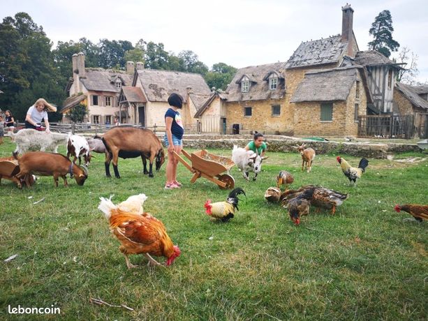 Famille Recherche Ferme