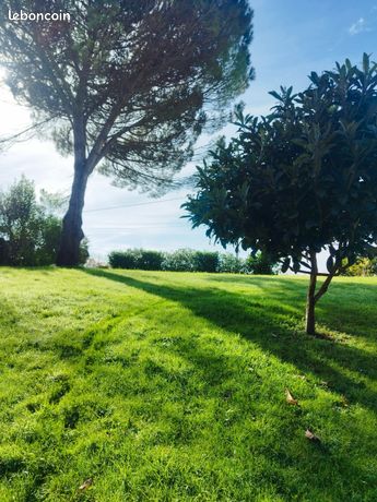 Terrain constructible