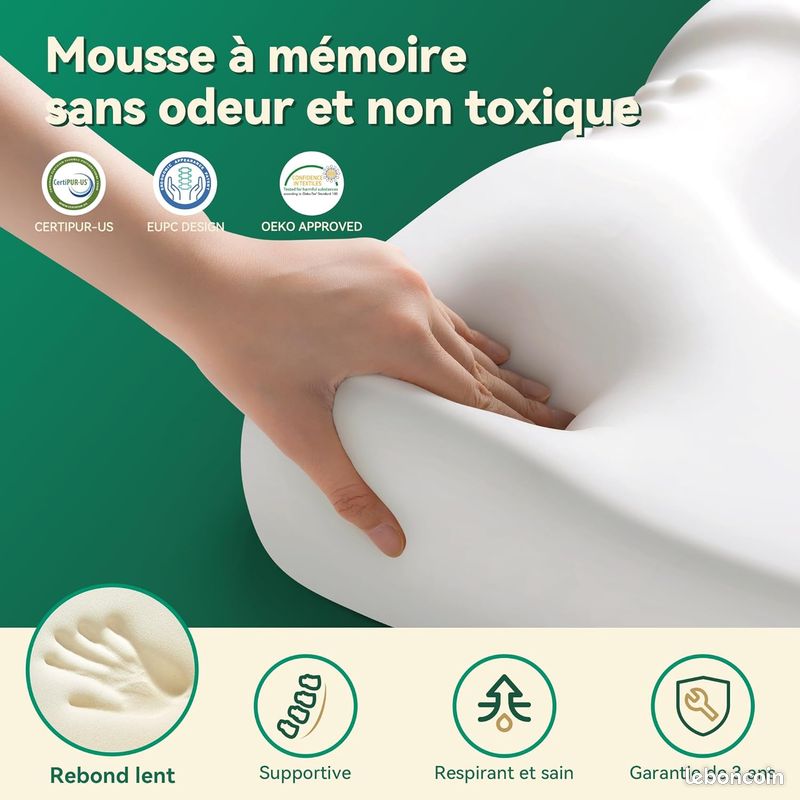 Oreiller Ergonomique Cervical - TOPESCT - Mémoire De Forme - Refroidissement Orthopédique - 60x34cm - Gris/Blanc - Maison