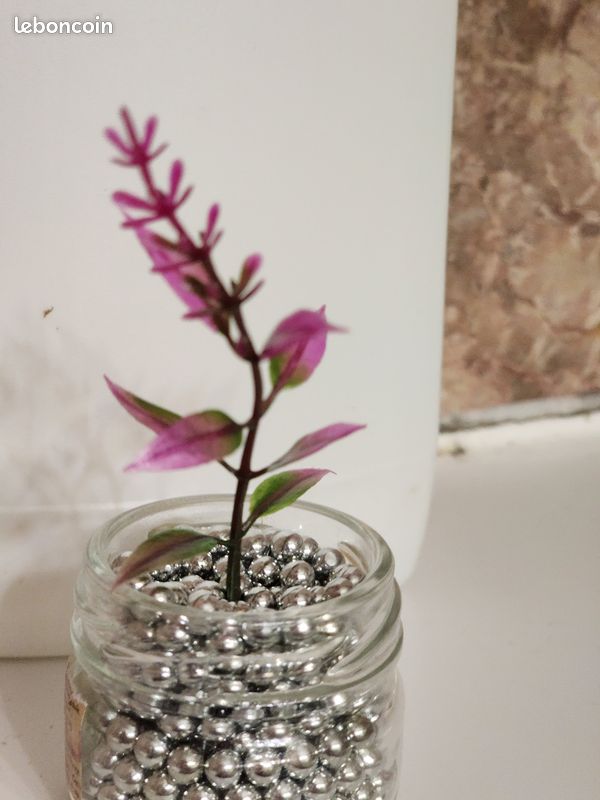 Plante artificielle pour décoration (image 11)