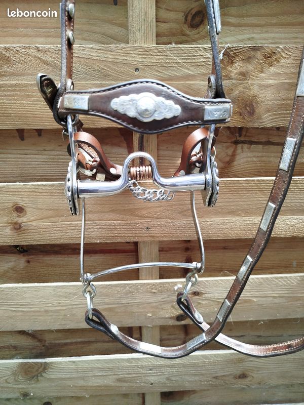 SELLE WESTERN HEADSTALL TACK ANCIEN LAITON GRAVÉ CONCHO À FENTE 1-1/2