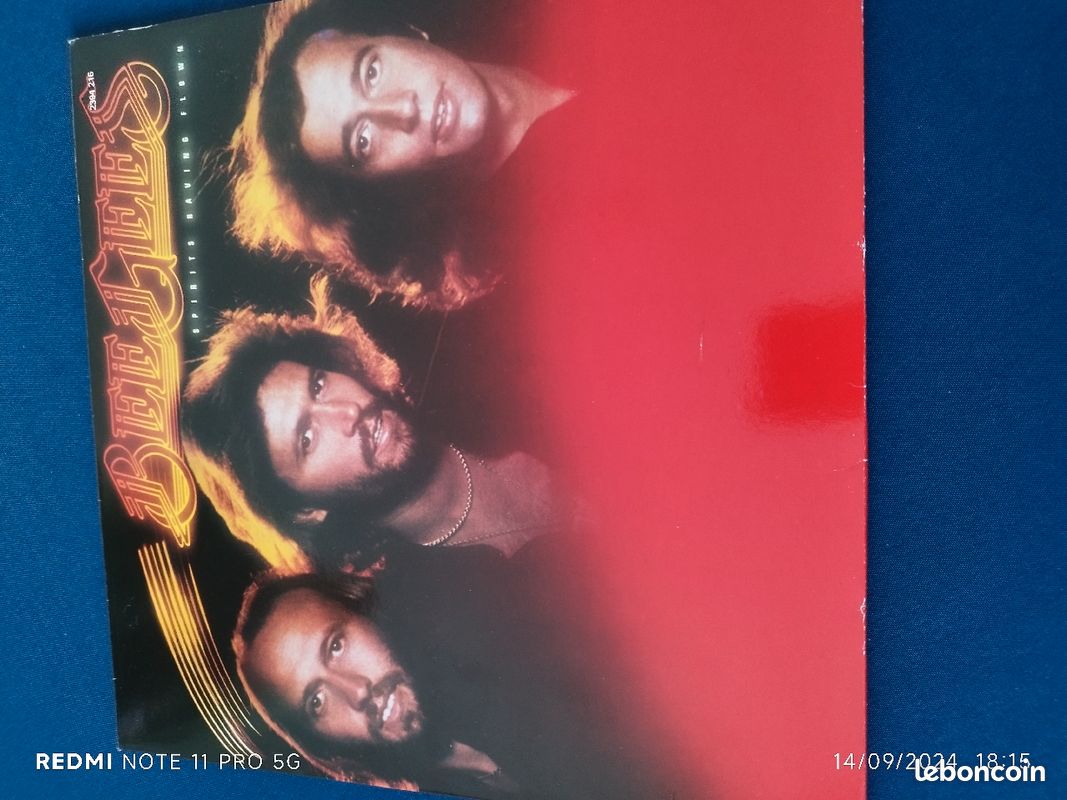 The bee gees vinyle 33t spirit having flow (image 1)