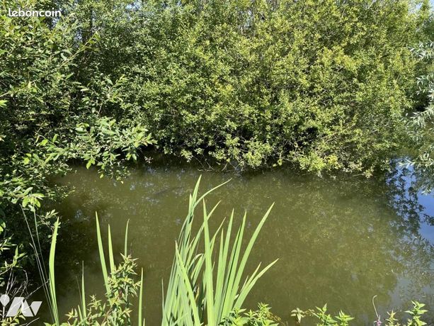 Terrain 3730 m² MAROLLES LES BRAULTS