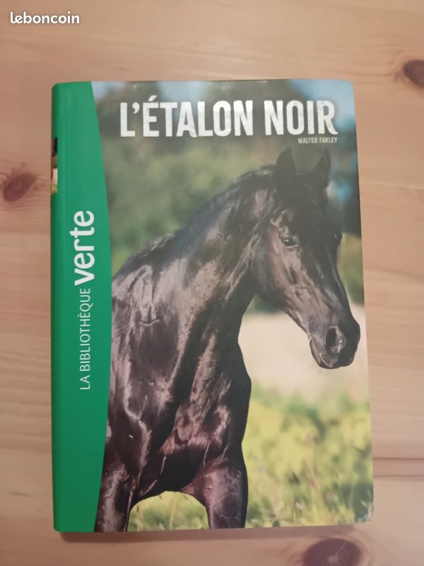L'étalon noir (image 2)